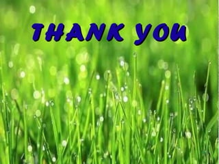 THANK YOUTHANK YOU
95
 