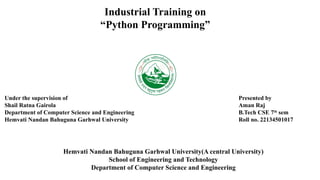 Aman_Industrial_Training _PPT for Python Internship | PPTX