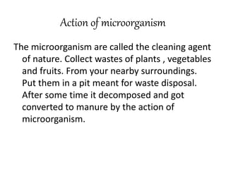 Action of microorganism
The microorganism are called the cleaning agent
of nature. Collect wastes of plants , vegetables
and fruits. From your nearby surroundings.
Put them in a pit meant for waste disposal.
After some time it decomposed and got
converted to manure by the action of
microorganism.
 
