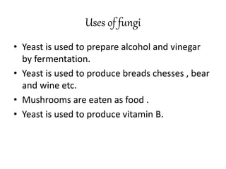 Uses of fungi
• Yeast is used to prepare alcohol and vinegar
by fermentation.
• Yeast is used to produce breads chesses , bear
and wine etc.
• Mushrooms are eaten as food .
• Yeast is used to produce vitamin B.
 