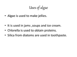 Uses of algae
• Algae is used to make jellies.
• It is used in jams ,soups and ice cream.
• Chlorella is used to obtain proteins.
• Silica from diatoms are used in toothpaste.
 