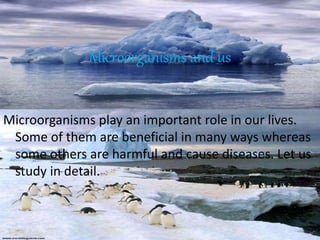 Microorganisms and us
Microorganisms play an important role in our lives.
Some of them are beneficial in many ways whereas
some others are harmful and cause diseases. Let us
study in detail.
 