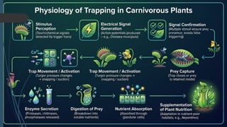 Comprehensive Study of Carnivorous Plants and Their Trapping Mechanisms ...