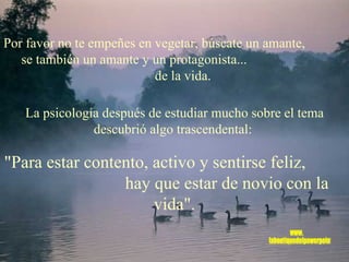 La psicología después de estudiar mucho sobre el tema descubrió algo trascendental:  " Para estar contento, activo y sentirse feliz,  hay que estar de novio con la vida".   Por favor no te empeñes en vegetar, búscate un amante,  se también un amante y un protagonista...  de la vida.   www. laboutiquedelpowerpoint. com 