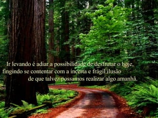 . Ir levando é adiar a possibilidade de desfrutar o hoje,  fingindo se contentar com a incerta e frágil ilusão  de que talvez possamos realizar algo amanhã. 