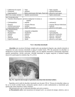 — Labferment (la sugari) — lapte — lapte coagulat
— Gelatinază — gelatină — gelatină hidrolizată
—— Lipază gastrică —lipide emulsionate (din lapte, frişcă etc.)— glicerol şi acizi graşi
BILĂ (nu conţine enzime) — lipidele neemulsionate — lipide emulsionate
SUC PANCREATIC
— Tripsină, chemotripsină proteine nedigerate în stomac şi
peptide
— tripeptide şi dipeptide
— Carbopeptidaze — peptide — aminoacizi
— Elastază — proteine fibroase — proteine fibroase hidrolizate
— Amilază pancreatică — amidon — maltoză
— Lipază pancreatică — lipide emulsionate — glicerol şi acizi graşi
SUC INTESTINAL
— Peptidaze — tripeptide şi dipeptide — aminoacizi
— Dizaharidaze: — dizaharide: — monozaharide:
— maltază — maltoza — glucoză (2 molecule)
— lactază — lactoza — glucoza + galactoză
— zaharază — zaharoza — glucoză + fructoză
— Lipază intestinală — lipide — glicerol şi acizi graşi
9.2.3. Absorbţia intestinală
Absorbţia este un proces fiziologic complex prin care produşii de digestie, apa, sărurile minerale şi
vitaminele trec prin mucoasa intestinală şi ajung în mediul intern. 90% din procesele de absorbţie se
desfăşoară la nivelul mucoasei intestinului subţire, care are adaptări structurale şi funcţionale importante:
epiteliu unistratificat, valvule conivente, vilozităţi intestinale cu irigaţie sangvină şi limfatică bogată,
microvili la polul apical al celulelor (fig. 9.2. şi 9.6.).
Fig. 9.6. Aspectul microscopic al epiteliului absorbant din intestinul subţire.
Suprafaţa activă reală de absorbţie intestinală este de peste 250 m2
. Procese de absorbţie reduse au
loc şi la nivelul cavităţii bucale, stomacului (pentru alcool şi unele medicamente) şi intestinului gros
(pentru apă, săruri minerale şi unele vitamine).
Mecanismele prin care se realizează absorbţia sunt active şi pasive.
a) Mecanismele active sunt mecanisme de transport activ, cu consum de energie, selective, care se
 