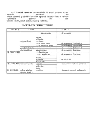 2.1.3. Epiteliile senzoriale sunt constituite din celule receptoare (celule
epiteliale senzoriale sau
neuroni senzitivi) şi celule de susţinere. Epiteliile senzoriale intră în structura
segmentelor periferice ale anali
zatorilor olfactiv, vizual, gustativ, auditiv şi vestibular.
SINTEZĂ: ŢESUTURI EPITELIALE
EPITELII TIPURI FUNCŢII
pavimentoase de acoperire
cubice
unistratificate
cilindrice:
— simple
— cu platou striat de acoperire şi de absorbţie
— cu bordură în perie de acoperire şi de transport
pseudostratificate de acoperire şi de transport
DE ACOPERIRE
pluristratificate pavimentoase:
— cheratinizate
de acoperire şi de apărare
— necheratinizate de acoperire şi de apărare
cubice
cilindrice de acoperire
de tranziţie
GLANDULARE formează glande exocrine formează parenchimul glandelor
endocrine
mixte
SENZORIALE celule epiteliale
neuroni senzitivi
senzitive formează receptorii analizatorilor
 