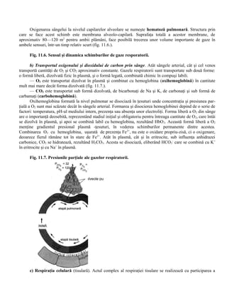 Oxigenarea sângelui la nivelul capilarelor alveolare se numeşte hematoză pulmonară. Structura prin
care se face acest schimb este membrana alveolo-capilară. Suprafaţa totală a acestor membrane, de
aproximativ 80—120 m2
pentru ambii plămâni, face posibilă trecerea unor volume importante de gaze în
ambele sensuri, într-un timp relativ scurt (fig. 11.6.).
Fig. 11.6. Sensul şi dinamica schimburilor de gaze resporatorii.
b) Transportul oxigenului şi dioxidului de carbon prin sânge. Atât sângele arterial, cât şi cel venos
transportă cantităţi de O2 şi CO2 aproximativ constante. Gazele respiratorii sunt transportate sub două forme:
o formă liberă, dizolvată fizic în plasmă, şi o formă legată, combinată chimic în compuşi labili.
— O2 este transportat dizolvat în plasmă şi combinat cu hemoglobina (oxihemoglobină) în cantitate
mult mai mare decât forma dizolvată (fig. 11.7.).
— CO2 este transportat sub formă dizolvată, de bicarbonaţi de Na şi K, de carbonaţi şi sub formă de
carbamaţi (carbohemoglobină).
Oxihemoglobina formată la nivel pulmonar se disociază în ţesuturi unde concentraţia şi presiunea par-
ţială a O2 sunt mai scăzute decât în sângele arterial. Formarea şi disocierea hemoglobinei depind de o serie de
factori: temperatura, pH-ul mediului intern, prezenţa sau absenţa unor electroliţi. Forma liberă a O2 din sânge
are o importanţă deosebită, reprezentând stadiul iniţial şi obligatoriu pentru întreaga cantitate de O2, care întâi
se dizolvă în plasmă, şi apoi se combină labil cu hemoglobina, rezultând HbO2. Această formă liberă a O2
menţine gradientul presional plasmă -ţesuturi, în vederea schimburilor permanente dintre acestea.
Combinarea O2 cu hemoglobina, uşurată de prezenţa Fe2+
, nu este o oxidare propriu-zisă, ci o oxigenare,
deoarece fierul rămâne tot în stare de Fe2+
. Atât în plasmă, cât şi în eritrocite, sub influenţa anhidrazei
carbonice, CO2 se hidratează, rezultând H2CO3. Acesta se disociază, eliberând HCO3
-
care se combină cu K+
în eritrocite şi cu Na+
în plasmă.
Fig. 11.7. Presiunile parţiale ale gazelor respiratorii.
c) Respiraţia celulară (tisulară). Actul complex al respiraţiei tisulare se realizează cu participarea a
alveole pulmonare
 