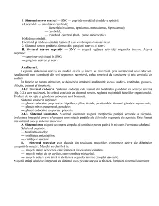 1. Sistemul nervos central — SNC — cuprinde encefalul şi măduva spinării.
a.Encefalul: — emisferele cerebrale;
— diencefalul (talamus, epitalamus, metatalamus, hipotalamus);
— cerebelul;
— trunchiul cerebral (bulb, punte, mezencefal).
b.Măduva spinării.
Encefalul şi măduva spinării formează axul cerebrospinal sau nevraxul.
2. Sistemul nervos periferic, format din: ganglioni nervoşi şi nervi.
B. Sistemul nervos vegetativ — SNV — asigură reglarea activităţii organelor interne. Acesta
cuprinde:
—centri nervoşi situaţi în SNC;
—ganglioni nervoşi şi nervi.
Analizatorii.
Legătura sistemului nervos cu mediul extern şi intern se realizează prin intermediul analizatorilor.
Analizatorii sunt constituiţi din trei segmente: receptorul, calea nervoasă de conducere şi aria corticală de
analiză.
În funcţie de natura stimulilor, se deosebesc următorii analizatori: vizual, auditiv, vestibular, gustativ,
olfactiv, cutanat şi kinestezic.
3.1.2. Sistemul endocrin. Sistemul endocrin este format din totalitatea glandelor cu secreţie internă
(fig. 3.2.) care realizează, în strânsă corelaţie cu sistemul nervos, reglarea majorităţii funcţiilor organismului.
Produşii de secreţie ai glandelor endocrine sunt hormonii.
Sistemul endocrin cuprinde:
— glande endocrine propriu-zise: hipofiza, epifiza, tiroida, paratiroidele, timusul, glandele suprarenale;
— glande mixte: pancreasul, gonadele;
— glande endocrine temporare: placenta.
3.1.3. Sistemul locomotor. Sistemul locomotor asigură menţinerea poziţiei verticale a corpului,
deplasarea întregului corp şi efectuarea unor mişcări parţiale ale diferitelor segmente ale acestuia. Este format
din sistemul osos şi sistemul muscular.
A. Sistemul osos asigură susţinerea corpului şi constituie partea pasivă în mişcare. Formează scheletul.
Scheletul cuprinde:
— totalitatea oaselor;
— totalitatea articulaţiilor;
— cartilajele asociate.
B. Sistemul muscular este alcătuit din totalitatea muşchilor, elementele active ale diferitelor
categorii de mişcări. Muşchii se clasifică în:
— muşchi striaţi scheletici, care formează musculatura somatică;
— muşchi striaţi de tip cardiac, care constituie miocardul;
— muşchi netezi, care intră în alcătuirea organelor interne (muşchi viscerali).
Muşchii striaţi scheletici împreună cu sistemul osos, pe care aceştia se fixează, formează sistemul locomotor
 