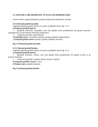 3.3. SISTEME CARE DESERVESC FUNCŢIA DE REPRODUCERE
Aceste sisteme asigură perpetuarea speciei umane prin reproducere sexuată.
3.3.1.Sistemul genital masculin.
Cuprinde organele genitale interne şi externe şi glandele anexe (fig. 3.5.).
a) Organele genitale interne:
— gonadele masculine, testiculele, care sunt glande mixte producătoare de gameţi masculini
(spermatozoizi) şi de hormoni masculini (androgeni);
— conductele genitale, spermiductele.
b) Glandele anexe: veziculele seminale, prostata, glandele bulbouretrale;
c) Organul genital extern: penisul, organul copulator masculin.
Fig. 3.5 Sistemul genital masculin.
3.3.2. Sistemul genital feminin.
Cuprinde organele genitale interne şi externe şi glandele anexe (fig. 3.6.).
a) Organele genitale interne:
— gonadele feminine, ovarele, care sunt glande mixte producătoare de gameţi (ovule) şi de
hormoni feminini;
— conductele genitale: trompele ulerine, uterul şi vaginul.
b) Organele genitale externe: vulva.
c) Organe anexe: glandete mamare.
Fig. 3.6 Sistemul genital feminin.
 