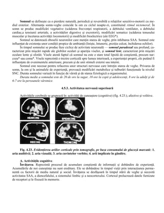 Somnul se defineşte ca o pierdere naturală, periodică şi reversibilă a relaţiilor senzitivo-motorii cu me-
diul exterior. Alternanţa somn-veghe coincide la om cu ciclul noapte-zi, constituind ritmul nictemeral. În
somn se produc modificări vegetative (scăderea frecvenţei respiratorii, a debitului ventilator, a debitului
cardiac,a tensiunii arteriale, a activităţilor digestive şi excretorii), modificări somatice (scăderea tonusului
muscular şi încetarea activităţii locomotorii) şi modificări bioelectrice (ale EEG*).
Somnul se datorează oboselii neuronilor care menţin starea de veghe, prin inhibarea SAA. Somnul este
influenţat de existenţa unor condiţii propice de ambianţă (linişte, întuneric, poziţia culcat, închiderea ochilor).
În timpul somnului se produc faze ciclice de activitate neuronală — somnul paradoxal sau profund, ca-
racterizat prin mişcări rapide ale globilor oculari şi apariţia viselor, şi somnul lent, caracterizat prin mişcări
oculare lente şi sforăit. Visele atestă faptul că somnul nu este o stare total lipsită de conştientă, precum nar-
coza* sau coma*. Visele reprezintă o trezire corticală spre lumea interioară, a experienţei proprii, ele putând fi
influenţate de evenimentele anterioare, precum şi de unii stimuli externi sau interni.
Somnul este necesar pentru refacerea unor structuri nervoase care întreţin starea de veghe. Privarea de
somn, la om şi la animalele de experienţă, provoacă modificări metabolice şi tulburări funcţionale la nivelul
SNC. Durata somnului variază în funcţie de vârstă şi de starea fiziologică a organismului.
Durata medie a somnului este de 20 de ore la sugar, 10 ore la copii şi adolescenţi, 8 ore la adulţi şi de
6-7 ore la persoanele vârstnice.
4.5.3. Activitatea nervoasă superioară
Activităţile cerebrale se grupează în: activităţi de cunoaştere (cognitive) (fig. 4.23.), afective şi volitive.
Fig. 4.23. Evidenţierea ariilor corticale prin tomografie, pe baza consumului de glucoză marcată: 1.
aria auditivă; 2. aria vizuală; 3. aria cuvintelor vorbite; 4. arii implicate în gândire.
A. Activităţile cognitive.
Învăţarea. Reprezintă procesul de acumulare conştientă de informaţii şi dobândire de experienţă.
Acumulările de noi cunoştinţe nu sunt ereditare. Ele se dobândesc în timpul vieţii prin interacţiunea perma-
nentă cu factorii de mediu natural şi social. Învăţarea se desfăşoară în timpul stării de veghe şi necesită
activitatea SAA, a diencefalului, a sistemului limbic şi a neocortexului. Cortexul prelucrează datele furnizate
de receptori şi le fixează în memorie.
 