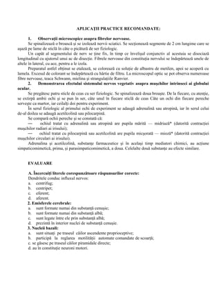 APLICAŢII PRACTICE RECOMANDATE:
1. Observaţii microscopice asupra fibrelor nervoase.
Se spinalizează o broască şi se izolează nervii sciatici. Se secţionează segmente de 2 cm lungime care se
aşază pe lame de sticlă în câte o picătură de ser fiziologic.
Un capăt al segmentului de nerv se ţine fix, în timp ce învelişul conjunctiv al acestuia se disociază
longitudinal cu ajutorul unui ac de disecţie. Fibrele nervoase din constituţia nervului se îndepărtează unele de
altele în lateral, cu ace, pentru a le izola.
Preparatul astfel obţinut se etalează, se colorează cu soluţie de albastru de metilen, apoi se acoperă cu
lamela. Excesul de colorant se îndepărtează cu hârtie de filtru. La microscopul optic se pot observa numeroase
fibre nervoase, teaca Schwann, mielina şi strangulaţiile Ranvier.
2. Demonstrarea efectului sistemului nervos vegetativ asupra muşchilor intrinseci ai globului
ocular.
Se pregătesc patru sticle de ceas cu ser fiziologic. Se spinalizează doua broaşte. De la fiecare, cu atenţie,
se extirpă ambii ochi şi se pun în ser, câte unul în fiecare sticlă de ceas Câte un ochi din fiecare pereche
serveşte ca martor, iar ceilalţi doi pentru experiment.
În serul fiziologic al primului ochi de experiment se adaugă adrenalină sau atropină, iar în serul celui
de-al doilea se adaugă acetilcolină sau pilocarpină.
Se compară ochii pereche şi se constată că:
— ochiul tratat cu adrenalină sau atropină are pupila mărită — midriază* (datorită contracţiei
muşchilor radiari ai irisului);
— ochiul tratat cu pilocarpină sau acetilcolină are pupila micşorată — mioză* (datorită contracţiei
muşchilor circulari ai irisului).
Adrenalina şi acetilcolină, substanţe farmaceutice şi în acelaşi timp mediatori chimici, au acţiune
simpaticomimetică, prima, şi parasimpaticomimetică, a doua. Celelalte două substanţe au efecte similare.
EVALUARE
A. Încercuiţi literele corespunzătoare răspunsurilor corecte:
Dendritele conduc influxul nervos:
a. centrifug;
b. centripet;
c. eferent;
d. aferent.
2. Emisferele cerebrale:
a. sunt formate numai din substanţă cenuşie;
b. sunt formate numai din substanţă albă;
c. sunt legate între ele prin substanţă albă;
d. prezintă în interior nuclei de substanţă cenuşie.
3. Nucleii bazali:
a. sunt situaţi pe traseul căilor ascendente proprioceptive;
b. participă la reglarea motilităţii automate comandate de scoarţă;
c. se găsesc pe traseul căilor piramidale directe;
d. au în constituţie neuroni motori.
 