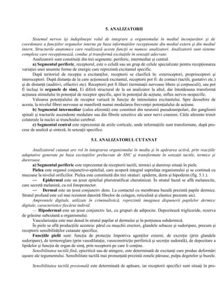 5. ANALIZATORII
Sistemul nervos îşi îndeplineşte rolul de integrare a organismului în mediul înconjurător şi de
coordonare a funcţiilor organelor interne pe baza informaţiilor recepţionate din mediul extern şi din mediul
intern. Structurile anatomice care realizează aceste funcţii se numesc analizatori. Analizatorii sunt sisteme
complexe care recepţionează, conduc şi transformă excitaţiile în senzaţii adecvate.
Analizatorii sunt constituiţi din trei segmente: periferic, intermediar şi central.
a) Segmentul periferic, receptorul, este o celulă sau un grup de celule specializate pentru recepţionarea
variaţiei unei anumite forme de energie care reprezintă excitantul specific.
După teritoriul de recepţie a excitanţilor, receptorii se clasifică în: exteroceptori, proprioceptori şi
interoceptori. După distanţa de la care acţionează excitantul, receptorii pot fi: de contact (tactili, gustativi etc.)
şi de distanţă (auditivi, olfactivi etc). Receptorii pot fi liberi (terminaţii nervoase libere şi corpusculi), sau pot
fi incluşi în organele de simţ. Ei diferă structural de la un analizator la altul, dar întotdeauna transformă
acţiunea stimulului în potenţial de receptor specific, apoi în potenţial de acţiune, influx nervos nespecific.
Valoarea potenţialului de receptor variază în funcţie de intensitatea excitantului. Spre deosebire de
acesta, la nivelul fibrei nervoase se manifestă numai modularea frecvenţei potenţialului de acţiune.
b) Segmentul intermediar (calea aferentă) este constituit din neuronii pseudounipolari, din ganglionii
spinali şi tracturile ascendente medulare sau din fibrele senzitive ale unor nervi cranieni. Căile aferente trimit
colaterale la nuclei ai trunchiului cerebral.
c) Segmentul central este reprezentat de ariile corticale, unde informaţiile sunt transformate, după pro-
cese de analiză şi sinteză, în senzaţii specifice.
5.1. ANALIZATORUL CUTANAT
Analizatorul cutanat are rol în integrarea organismului în mediu şi în apărarea activă, prin reacţiile
adaptative generate pe baza excitaţiilor prelucrate de SNC şi transformate în senzaţii tactile, termice şi
dureroase.
a) Segmentul periferic este reprezentat de receptorii tactili, termici şi dureroşi situaţi în piele.
Pielea este organul conjunctivo-epitelial, care acoperă integral suprafaţa organismului şi se continuă cu
mucoase la nivelul orificiilor. Pielea este constituită din trei straturi: epiderm, derm şi hipoderm (fig. 5.1.).
— Epidermul este un ţesut epitelial pluristratificat cheratinizat. În stratul bazal se află melanocite,
care secretă melanină, cu rol fotoprotector.
— Dermul este un ţesut conjunctiv dens. La contactul cu membrana bazală prezintă papile dermice.
Stratul profund este cel mai rezistent datorită fibrelor de colagen, reticulină şi elastice prezente aici.
Amprentele digitale, utilizate în criminalistică, reprezintă imaginea dispunerii papilelor dermice
digitale, caracteristice fiecărui individ.
— Hipodermul este un ţesut conjunctiv lax, cu grupuri de adipocite. Depozitează trigliceride, rezerva
de grăsime subcutană a organismului.
Vascularizaţia este mai densă în stratul papilar al dermului şi în porţiunea subdermică.
În piele se află producţiile acesteia: părul cu muşchii erectori, glandele sebacee şi sudoripare, precum şi
receptorii sensibilităţilor cutanate specifice.
Funcţiile pielii sunt: funcţia de protecţie împotriva agenţilor externi, de excreţie (prin glandele
sudoripare), de termoreglare (prin vasodilataţie, vasoconstricţie periferică şi secreţie sudorală), de depozitare a
lipidelor şi funcţia de organ de simţ, prin receptorii pe care îi conţine.
Sensibilitatea tactilă fină, epicritică sau de atingere, este determinată de excitanţi care produc deformări
uşoare ale tegumentului. Sensibilitate tactilă mai pronunţată prezintă zonele păroase, pulpa degetelor şi buzele.
Sensibilitatea tactilă presională este determinată de apăsare, iar receptorii specifici sunt situaţi în pro-
 