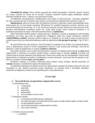Potenţialul de acţiune. Orice variaţie energetică din mediul înconjurător ( electrică, termică, chimică
etc.) poate constitui un stimul sau un excitant. Acţiunea stimulilor externi asupra membranei celulare
determină modificări fizico - chimice, care generează excitaţia.
Excitabilitatea este proprietatea fundamentală a unor celule vi (celule nervoase, musculare, glandulare
etc.) de a reacţiora specific la acţiunea unor stimuli şi se manifestă prin depolarizarea membranei (tab. 2.).
Depolarizarea, adică inversarea stării de polarizare electrică se datoreşte creşterii permeabilităţii mem-
branei pentru Na+
la locul acţiuni stimulului. Pătrunderea Na+
modifică dispunerea sarcinilor electrice şi ge-
nerează potenţialul de acţiune (fig 1.4. A, B). Inversarea sarcinilor electrice durează un timp extrem de scurt,
deoarece permeabilitatea membranei pentru Na+
scade rapid, pompa ionică reintră în funcţiune şi se
restabileşte potenţialul de repaus. Fenomenul poartă numele ce repolarizare.
Dacă intensitatea stimului atinge o valoare prag sau o depăşeşte, excitaţia se propagă pe toată suprafaţa
membranei sub forma unei unde de depolarizare. Propagarea undei de-a lungul membranei constituie
conductibilitatea celulară. Sarcinile electrice negative se comportă ca un catod şi atrag sarcinile pozitive,
creând curenţi locali care determină deplasarea undei de depolarizare din aproape în aproape ( fig.1.4. B, C,
D).
În cazul fibrelor nervoase mielinice, teaca de mielină se comportă ca un izolator, care determină polari-
zarea şi depolarizarea numai la nivelul strangulaţiilor Ranvier*, unde aceasta este întreruptă. Acest tip de
deplasare a undei de depolarizare se numeşte conducere saltatorie.
Intensitatea minimă a unui excitant necesară pentru a produce un răspuns poartă numele de prag. Dacă
experimental se utilizează ca excitant curentul electric, valoarea prag se numeşte reobază. Excitanţii sub
valoarea prag nu produc răspunsuri prin depolarizare. Pentru orice stimul care are sau depăşeşte valoarea prag,
depolarizarea şi conducerea excitaţiei se desfăşoară cu aceeaşi intensitate. Acest mod unic de apariţie şi con-
ducere a excitaţiei constituie legea „tot sau nimic".
Stimularea repetată cu excitanţi subliminali poate produce totuşi excitaţie, datorită procesului de
sumaţie (însumare a modificărilor repetate de depolarizare).
Excitabilitatea depinde şi de timpul necesar unui stimul pentru a produce un răspuns (timp util), dar şi de
bruscheţea cu care stimulul acţionează asupra membranei. La creşterea lentă a intensităţii stimulului,
membrana se adaptează şi celula nu mai răspunde printr-o nouă depolarizare.
EVALUARE
A. Încercuiţi literele corespunzătoare răspunsurilor corecte:
1. Celula hepatică este:
a. uninucleată;
b. anucleată;
c. binucleată;
d. polinucleată;
e. nici un răspuns nu este corect.
2. Membrana celulară:
a. se formează prin diferenţierea citoplasmei;
b. în condiţii de repaus este polarizată electric pozitiv pe faţa internă, negativ pe faţa externă.
c. are permeabilitate selectivă;
d. este învelişul protector şi impermeabil al celulei;
e. este exclusiv proteică.
3. Celulele nervoase prezintă:
a. miofibrile;
 