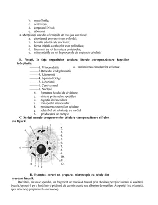 b. neurofibrile;
c. centrozom;
d. corpusculi Nissl;
e. ribozomi.
4. Menţionaţi care din afirmaţiile de mai jos sunt false:
a. citoplasmă este un sistem coloidal;
b. hematia adultă este nucleată;
c. forma iniţială a celulelor este poliedrică;
d. lizozomii au rol în sinteza proteinelor;
e. mitocondriile au rol în procesele de respiraţie celulară.
B. Notaţi, în faţa organitelor celulare, literele corespunzătoare funcţiilor
îndeplinite:
a. transmiterea caracterelor ereditare
b. formarea fusului de diviziune
c. sinteza proteinelor specifice
d. digestia intracelulară
e. transportul intracelular
f. producerea secreţiilor celulare
g. schimbul de substanţe cu mediul
h. producerea de energie
C. Scrieţi numele componentelor celulare corespunzătoare cifrelor
din figură:
1.
2.
3.
4.
5.
6.
7.
8.
9.
10.
11.
12.
D. Executaţi corect un preparat microscopic cu celule din
mucoasa bucală.
Recoltaţi, cu un ac spatulat, un fragment de mucoasă bucală prin răzuirea pereţilor laterali ai cavităţii
bucale.Aşezaţi-l pe o lamă într-o picătură de carmin acetic sau albastru de metilen. Acoperiţi-l cu o lamelă,
apoi observaţi preparatul la microscop.
———1. Mitocondriile
———2.Reticulul endoplasmatic
———3. Ribozomii
———4. Aparatul Golgi
———5. Lizozomii
———6. Centrozomul
———7. Nucleul
8. Membrana celulară
 