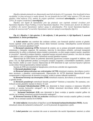 Hipofiza (glanda pituitară) are dimensiunile unui bob de fasole şi 0,5 g greutate. Este localizată la baza
encefalului, în şaua turcească a osului sfenoid. Ea este formată din trei lobi: lobul anterior (75% din masa
glandei), lobul mijlociu (2%), ambele de origine epitelială, constituind adenohipofiza, şi lobul posterior
(23%), de origine ectodermică, neurohipofiza.
Hipofiza este legată de hipotalamus prin tija pituitară, care cuprinde sistemul circulator port
hipotalamo-hipofizar Popa-Fielding şi tractul hipotalamo-hipofizar. Prin sistemul port, factorii de eliberare
şi inhibare din nucleii hipotalamici mijlocii ajung în adenohipofiza. Prin tractul hipotalamo-hipofizar,
produşii de neurosecreţie* ai nucleilor hipotalamici anteriori ajung la neurohipofiza (fig.6.1).
Fig. 6.1. Hipofiza: 1. lob anterior; 2. lob mijlociu; 3. lob posterior; 4. tijă hipofizară; 5. neuroni
hipotalamici; 6. sistem porthipofizar.
A. Lobul anterior este constituit din cordoane celulare, care formează epiteliul secretor al glandei.
Acesta cuprinde celule specifice pentru fiecare dintre hormonii secretaţi. Adenohipofiza secretă hormonul
somatotrop şi hormonii glandulari tropi*.
1. Hormonul somatotrop (STH), hormonul de creştere, are ca acţiune principală stimularea creşterii
armonioase a întregului organism. De asemenea, intervine în dezvoltarea celulelor, activează transportul
aminoacizilor în celule şi stimulează sinteza tisulară a proteinelor, cu efect asupra creşterii oaselor, muşchilor
şi viscerelor*. Intensifică oxidarea lipidelor, asigurând energia necesară sintezei proteice. Are efect de cruţare
a glucidelor şi, deci, rol hiperglicemiant. Stimulează secreţia glandelor mamare.
Hipersecreţia de STH înainte de pubertate determină gigantismul (creştere exagerată în înălţime, talie
peste 2 m), iar după pubertate produce acromegalia (creştere exagerată a extremităţilor membrelor, oaselor
feţei, buzelor, limbii şi a unor viscere). Hiposecreţia de STH determină la copii nanismul hipofizar (piticism
cu dezvoltare fizică proporţională şi intelect normal).
Secreţia de STH este stimulată de hipoglicemie şi de diverse solicitări ale organismului.
2. Hormonii glandulari tropi.
a) Hormonul adenocorticotrop sau corticotropina (ACTH) stimulează creşterea, dezvoltarea şi activi-
tatea secretorie a glandelor corticosuprarenale. Hipersecreţia de ACTH determină hipertrofierea* corti-
cosuprarenalei şi hipersecreţie de hormoni ai acesteia, având ca urmare tulburări metabolice.
b) Hormonul tireotrop sau tireotropina (TSH) stimulează creşterea, dezvoltarea şi secreţia de hormoni
ai glandei tiroide.
c) Hormonii gonadotropi controlează funcţiile gonadelor* feminine şi masculine. De asemenea, con-
trolează secreţia glandelor mamare la femeie. Ei sunt:
— hormonul foliculostimulant (FSH) care determină la femei creşterea şi maturarea foliculilor
ovarieni şi secreţia hormonilor estrogeni*, iar la bărbaţi stimulează dezvoltarea tubilor seminiferi ai
testiculelor şi spermatogeneza;
— hormonul luteinizant (LH) care determină la femei ovulaţia şi apariţia corpului galben de
sarcină, iar la bărbaţi stimulează secreţia hormonilor androgeni*.
d) Hormonul luteotrop (LTH) sau prolactina stimulează la femei secreţia corpului galben şi secreţia
lactată. Nu se cunoaşte acţiunea lui la bărbaţi.
B. Lobul mijlociu (intermediar) al hipofizei secretă hormonul melanocitostimulant (MSH). Acesta
stimulează sinteza de melanină în melanocite*, cu rol în procesele de pigmentare a pielii.
C. Lobul posterior este constituit din axoni ai neuronilor din nucleii hipotalamici anteriori şi celule
 