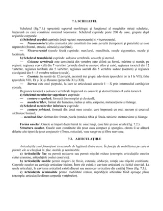 7.1. SCHELETUL
Scheletul (fig.7.1.) reprezintă suportul morfologic şi funcţional al muşchilor striaţi scheletici,
împreună cu care constituie sistemul locomotor. Scheletul cuprinde peste 200 de oase, grupate după
regiunile corporale.
a) Scheletul capului cuprinde două regiuni: neurocraniul şi viscerocraniul.
— Neurocraniul (cutia craniană) este constituit din oase perechi (temporale şi parietale) şi oase
neperechi (frontal, etmoid, sfenoid şi occipital).
— Viscerocraniul (oasele feţei) cuprinde: maxilarul, mandibula, oasele zigomatice, nazale şi
lacrimale.
b) Scheletul trunchiului cuprinde: coloana vertebrală, coastele şi sternul.
— Coloana vertebrală este constituită din vertebre care diferă ca formă, mărime şi număr, pe
regiuni: regiunea cervicală din 7 vertebre (primele două se numesc atlas şi axis), regiunea toracică din 12
vertebre, regiunea lombară din 5 vertebre, regiunea sacrală din 5 vertebre sudate (sacrum) şi regiunea
coccigiană din 4—5 vertebre reduse (coccis).
— Coastele, în număr de 12 perechi, prezintă trei grupe: adevărate (perechile de la I la VII), false
(perechile VIII, IX şi X) şi flotante (perechile XI şi XII).
— Sternul este osul pieptului, la care se articulează coastele I —X prin intermediul cartilajelor
costale.
Regiunea toracică a coloanei vertebrale împreună cu coastele şi sternul formează cutia toracică.
c) Scheletul membrelor superioare cuprinde:
— centura scapulară, formată din omoplat şi claviculă;
— membrul liber, format din humerus, radius şi ulna, carpiene, metacarpiene şi falange.
d) Scheletul membrelor inferioare cuprinde:
— centura pelviană, formată din două oase coxale, care împreună cu osul sacrum şi coccisul
alcătuiesc bazinul;
— membrul liber, format din: femur, patela (rotula), tibia şi fibula, tarsiene, metatarsiene şi falange.
Forma oaselor. Oasele se împart după formă în: oase lungi, oase late şi oase scurte (fig. 7.2.).
Structura oaselor. Oasele sunt constituite din ţesut osos compact şi spongios, cărora li se alătură
diferite alte tipuri de ţesut conjunctiv (fibros, reticulat), vase sangvine şi fibre nervoase.
7.2. ARTICULAŢIILE
Articulaţiile sunt formaţiuni structurale de legătură dintre oase. În funcţie de mobilitatea pe care o
permit, ele se clasifică în: fixe, mobile şi semimobile.
a) Articulaţiile fixe nu permit mişcarea sau permit mişcări reduse (exemple: articulaţiile oaselor
cutiei craniene, articulaţiile osului coxal etc).
b) Articulaţiile mobile permit mişcări de flexie, extensie, abducţie, rotaţie sau mişcări combinate.
Capetele oaselor au cartilaje articulare hialine. Între ele există o cavitate articulară cu lichid sinovial. La
unele articulaţii, în cavitatea articulară există discuri sau meniscuri articulare din cartilaj fibros (fig. 7.3.).
c) Articulaţiile semimobile permit mobilitate redusă, suprafeţele articulare fiind aproape plane
(exemplu: articulaţiile dintre corpurile vertebrelor).
 