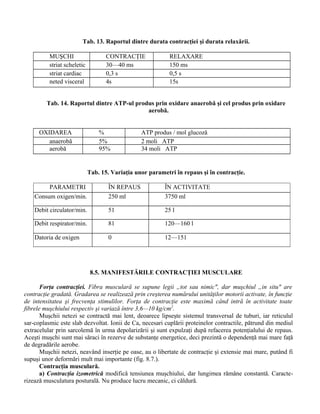 Tab. 13. Raportul dintre durata contracţiei şi durata relaxării.
MUŞCHI CONTRACŢIE RELAXARE
striat scheletic 30—40 ms 150 ms
striat cardiac 0,3 s 0,5 s
neted visceral 4s 15s
Tab. 14. Raportul dintre ATP-ul produs prin oxidare anaerobă şi cel produs prin oxidare
aerobă.
OXIDAREA % ATP produs / mol glucoză
anaerobă 5% 2 moli ATP
aerobă 95% 34 moli ATP
Tab. 15. Variaţia unor parametri în repaus şi în contracţie.
PARAMETRI ÎN REPAUS ÎN ACTIVITATE
Consum oxigen/min. 250 ml 3750 ml
Debit circulator/min. 51 25 l
Debit respirator/min. 81 120—160 l
Datoria de oxigen 0 12—151
8.5. MANIFESTĂRILE CONTRACŢIEI MUSCULARE
Forţa contracţiei. Fibra musculară se supune legii „tot sau nimic", dar muşchiul „in situ" are
contracţie gradată. Gradarea se realizează prin creşterea numărului unităţilor motorii activate, în funcţie
de intensitatea şi frecvenţa stimulilor. Forţa de contracţie este maximă când intră în activitate toate
fibrele muşchiului respectiv şi variază între 3,6—10 kg/cm2
.
Muşchii netezi se contractă mai lent, deoarece lipseşte sistemul transversal de tuburi, iar reticulul
sar-coplasmic este slab dezvoltat. Ionii de Ca, necesari cuplării proteinelor contractile, pătrund din mediul
extracelular prin sarcolemă în urma depolarizării şi sunt expulzaţi după refacerea potenţialului de repaus.
Aceşti muşchi sunt mai săraci în rezerve de substanţe energetice, deci prezintă o dependenţă mai mare faţă
de degradările aerobe.
Muşchii netezi, neavând inserţie pe oase, au o libertate de contracţie şi extensie mai mare, putând fi
supuşi unor deformări mult mai importante (fig. 8.7.).
Contracţia musculară.
a) Contracţia izometrică modifică tensiunea muşchiului, dar lungimea rămâne constantă. Caracte-
rizează musculatura posturală. Nu produce lucru mecanic, ci căldură.
 