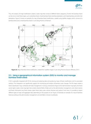 A manual for bamboo forest biomass and carbon assessment 5.24.19