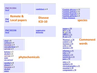 Remote &
Local papers
Disease
ICD-10
phytochemicals
species
Commonest
words
 