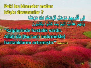 Peki bu kimseler neden
böyle davranırlar ?
‫ا‬ ُِ ُ‫ه‬َ‫د‬‫ا‬َ‫ز‬َ‫ف‬ ٌ‫ض‬َ‫ر‬َ‫م‬ ِْ ِ‫ه‬ِ‫ا‬‫و‬ُُُُ ‫ى‬ٖ‫ف‬‫ًا‬‫ض‬َ‫ر‬َ‫م‬ ُ ‫ ِه‬ّٰ
ِْ ُ‫ه‬َ‫ل‬َ‫و‬َ‫ي‬ ‫وا‬ُ‫ن‬‫َا‬‫ك‬ ‫ا‬َ‫م‬ِ‫ا‬ ٌِ ‫ي‬ٖ‫ل‬َ‫ا‬ ٌ‫اب‬َ‫ذ‬َ‫ع‬َ‫ون‬ُ‫ا‬ِ‫ذ‬ْ‫ك‬
"Kalplerinde hastalık vardır.
Allah da (Kur’an’ı indirmekle)
hastalıklarını artırmıştır.“ Bakara-10
20
 
