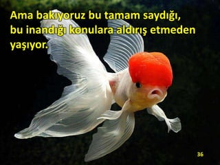 Ama bakıyoruz bu tamam saydığı,
bu inandığı konulara aldırış etmeden
yaşıyor.
36
 