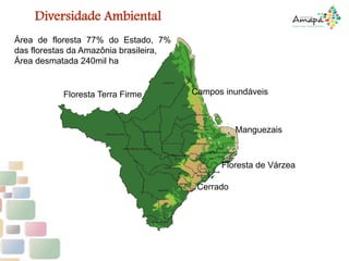 INDICADORES ECONÔMICOS
PRODUTO INTERNO BRUTO – PIB
Diversidade Ambiental
Floresta Terra Firme
Área de floresta 77% do Estado, 7%
das florestas da Amazônia brasileira,
Área desmatada 240mil ha
Floresta de Várzea
Cerrado
Campos inundáveis
Manguezais
 