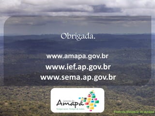Floresta Estadual do Amapá
Obrigada.
www.ief.ap.gov.br
www.sema.ap.gov.br
www.amapa.gov.br
 