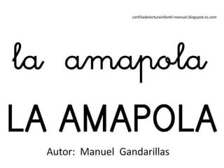 AMAPOLA libro