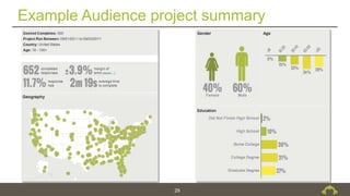 Example Audience project summary
29
 