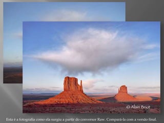 Esta é a fotografia como ela surgiu a partir do conversor Raw. Compará-la com a versão final.

 