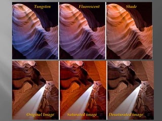 Tungsten

Original Image

Fluorescent

Saturated image

Shade

Desaturated image

 