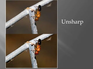 Unsharp

 