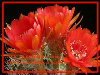 Aos poucos,  estou aprendendo a amar. Estou aprendendo a perdoar. 