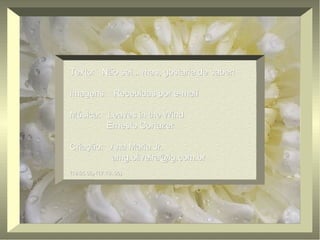 Texto:  Não sei... mas, gostaria de saber! Imagens:  Recebidas por e-mail Música:  Leaves in the Wind  Ernesto Cortazer Criação:  Ana Maria Jr. [email_address] (19.05.06) (17.10..06) 