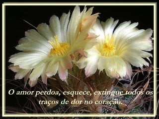 O amor perdoa, esquece, extingue todos os traços de dor no coração. 