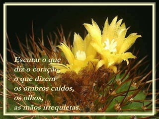 Escutar o que  diz o coração, o que dizem  os ombros caídos, os olhos,  as mãos irrequietas. 