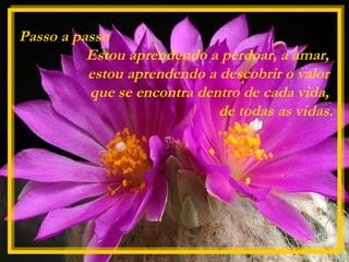 Passo a passo
Estou aprendendo a perdoar, a amar,
estou aprendendo a descobrir o valor
que se encontra dentro de cada vida,
de todas as vidas.
 