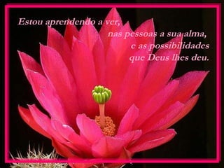 Estou aprendendo a ver,
nas pessoas a sua alma,
e as possibilidades
que Deus lhes deu.
 