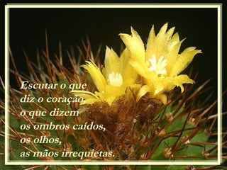 Escutar o que
diz o coração,
o que dizem
os ombros caídos,
os olhos,
as mãos irrequietas.
 