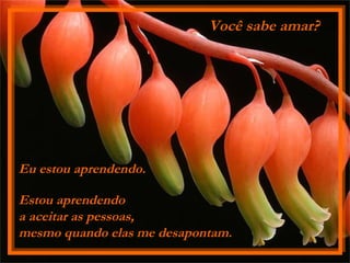 Eu estou aprendendo.   Estou aprendendo a aceitar as pessoas,  mesmo quando elas me desapontam.   Você sabe amar? 