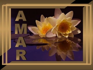 AMAR 