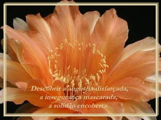 Descobrir a angústia disfarçada, a insegurança mascarada,  a solidão encoberta.  