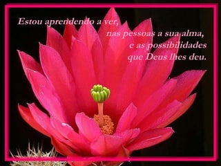 Estou aprendendo a ver,
                    nas pessoas a sua alma,
                         e as possibilidades
                         que Deus lhes deu.
 