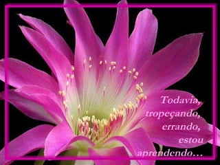 Todavia,
  tropeçando,
      errando,
          estou
aprendendo…
 