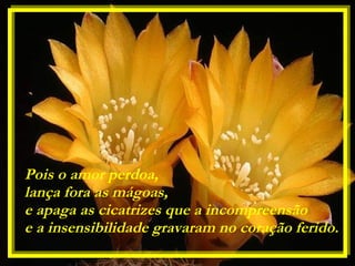Pois o amor perdoa,  lança fora as mágoas,  e apaga as cicatrizes que a incompreensão  e a insensibilidade gravaram no coração ferido. 