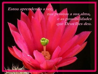 Estou aprendendo a ver,  nas pessoas a sua alma,  e as possibilidades que Deus lhes deu. 