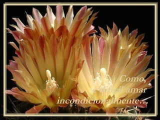 Como,  é difícil amar  incondicionalmente… 