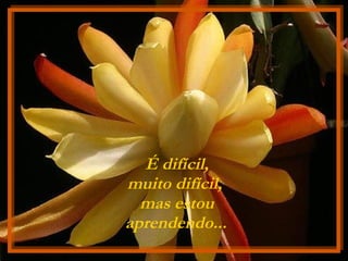 É difícil,  muito difícil,  mas estou aprendendo...   