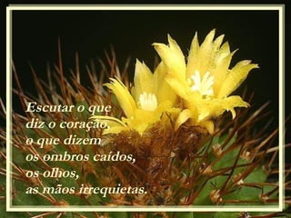 Escutar o que  diz o coração, o que dizem  os ombros caídos, os olhos,  as mãos irrequietas. 